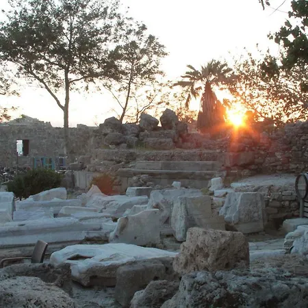 Elit Koseoglu Side