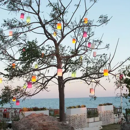 Otel Elit Koseoglu